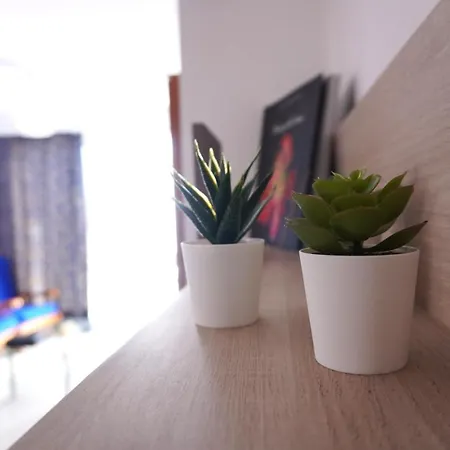 Apto. Guacimeta, A 20m De La Playa. * بلايا هوندا