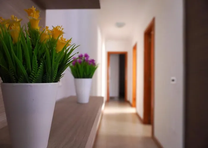 Apto. Guacimeta, A 20m De La Playa.